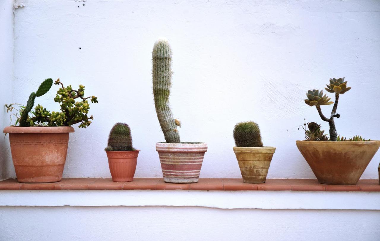Hitide House Hostel GRAN CANARIA Bagian luar foto